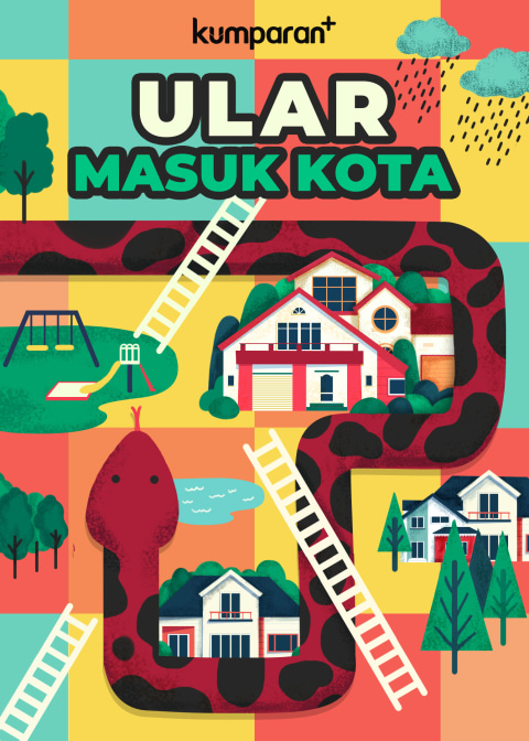 Waspada Ular Masuk Kota 9 yeyqc1ltorbnxdjrpk8s 2