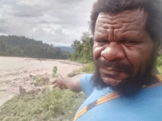 Nabire Darurat Ekologi: Adat Bersatu Melawan Penebangan Kayu